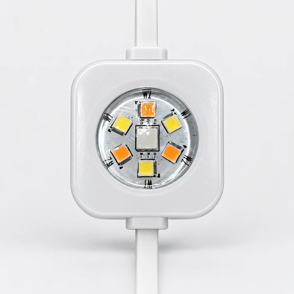 EverGlow seven LED light module